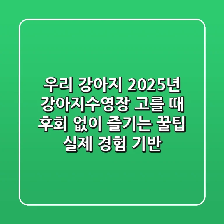 우리 강아지, 2025년 강아지수영장 고를 때 후회 없이 즐기는 꿀팁 (실제 경험 기반)