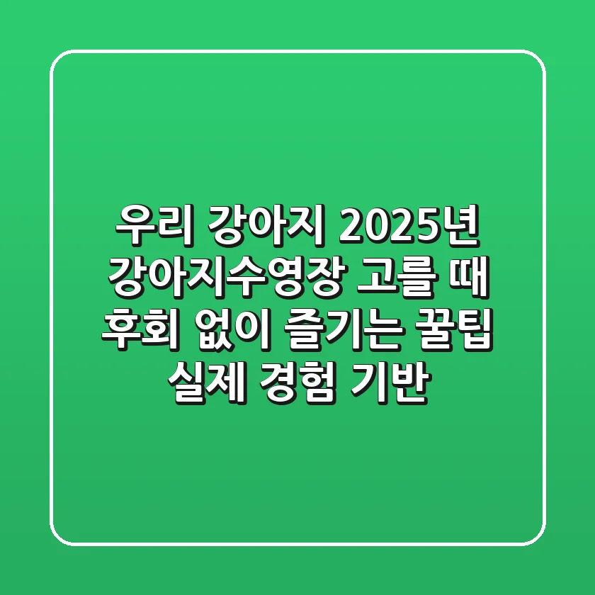 우리 강아지, 2025년 강아지수영장 고를 때 후회 없이 즐기는 꿀팁 (실제 경험 기반)