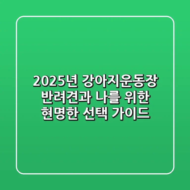 2025년 강아지운동장, 반려견과 나를 위한 현명한 선택 가이드