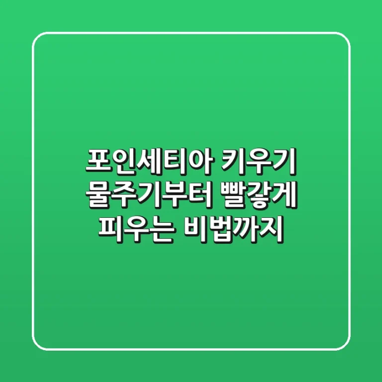 포인세티아 키우기, 물주기부터 빨갛게 피우는 비법까지