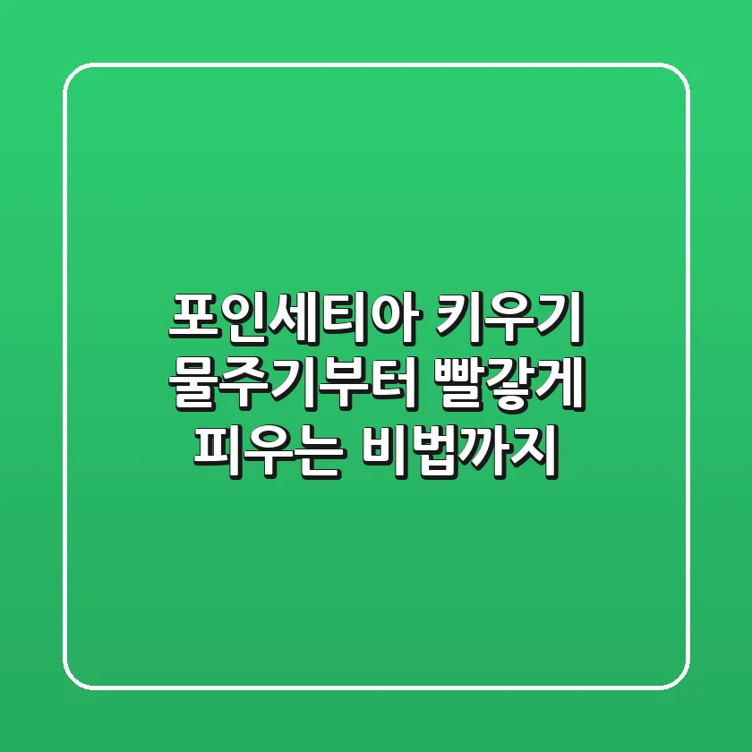 포인세티아 키우기, 물주기부터 빨갛게 피우는 비법까지