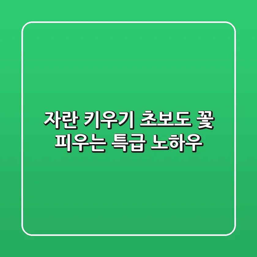 자란(紫蘭) 키우기, 초보도 꽃 피우는 특급 노하우