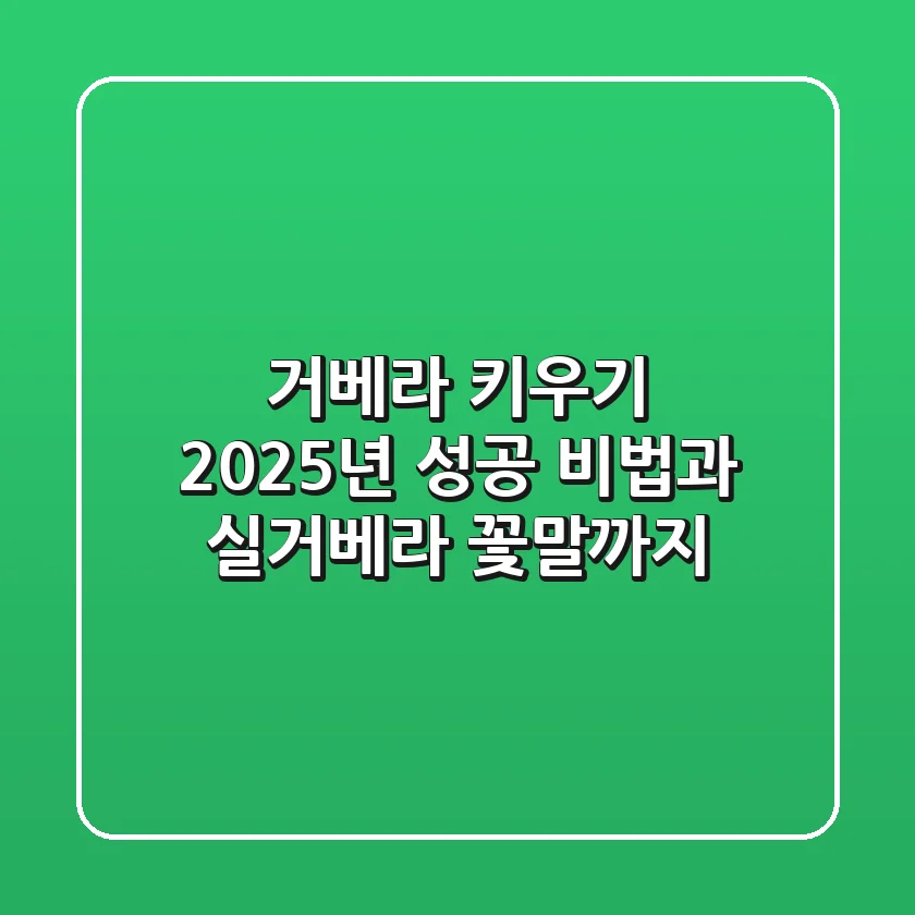 거베라 키우기, 2025년 성공 비법과 실거베라 꽃말까지