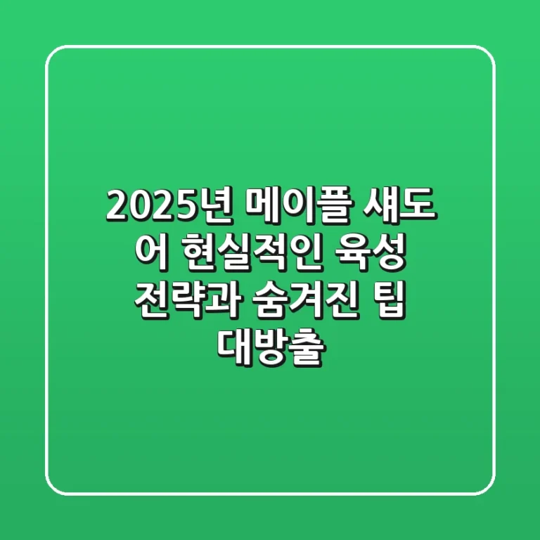 2025년 메이플 섀도 어: 현실적인 육성 전략과 숨겨진 팁 대방출!