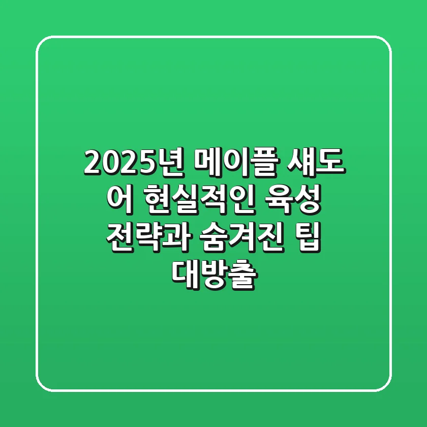 2025년 메이플 섀도 어: 현실적인 육성 전략과 숨겨진 팁 대방출!