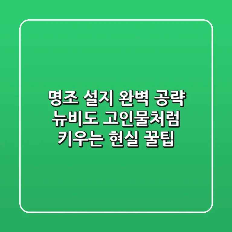 명조 설지 완벽 공략: 뉴비도 고인물처럼 키우는 현실 꿀팁!