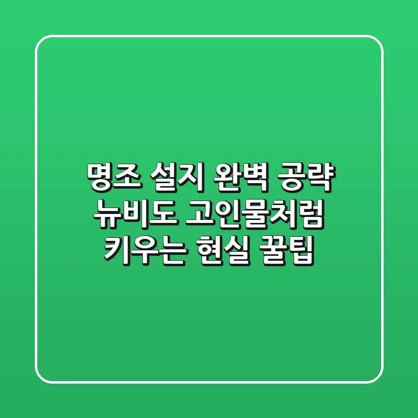 명조 설지 완벽 공략: 뉴비도 고인물처럼 키우는 현실 꿀팁!