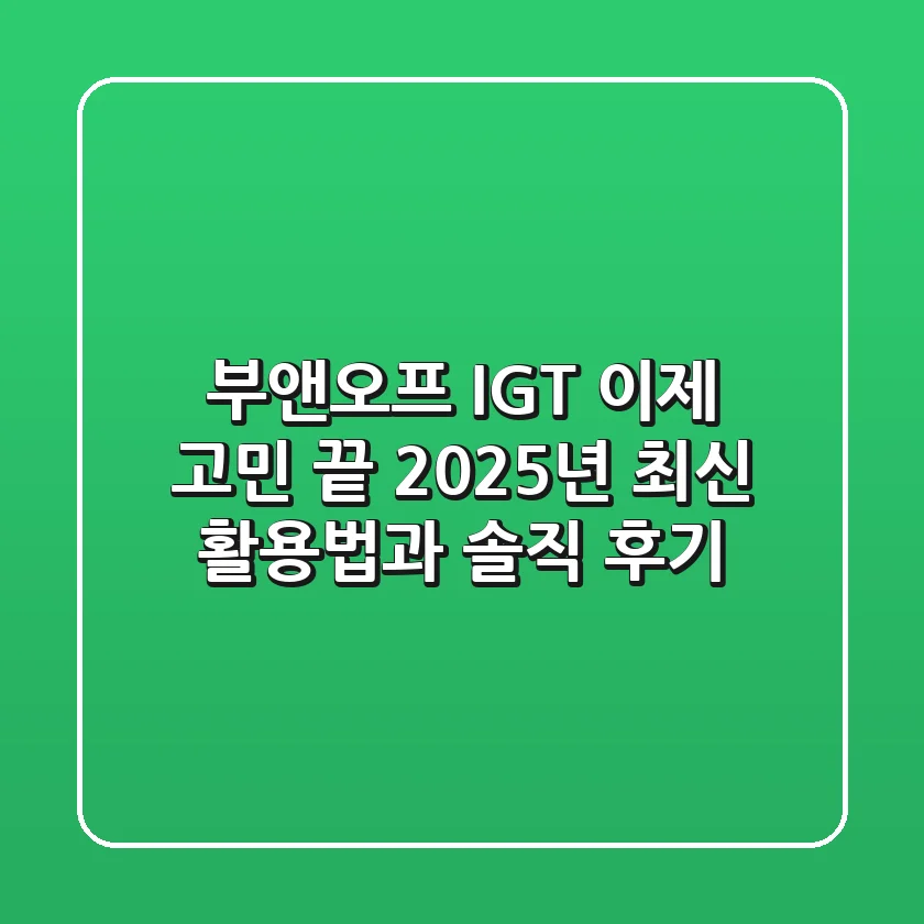 부앤오프 IGT, 이제 고민 끝! 2025년 최신 활용법과 솔직 후기