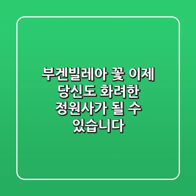부겐빌레아 꽃, 이제 당신도 화려한 정원사가 될 수 있습니다!
