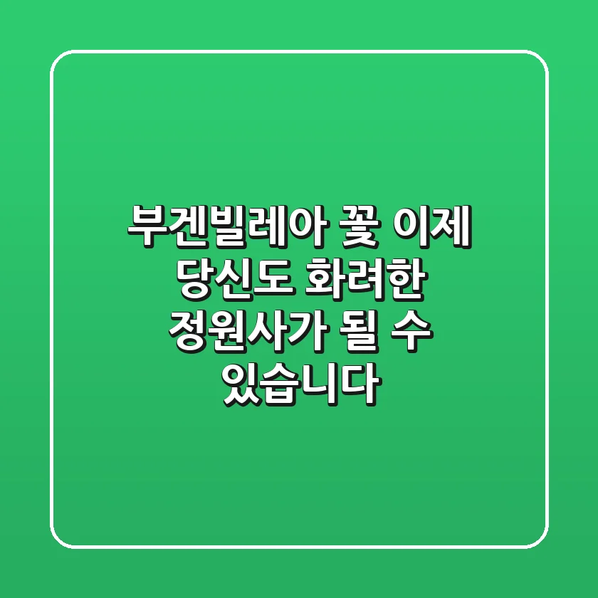 부겐빌레아 꽃, 이제 당신도 화려한 정원사가 될 수 있습니다!