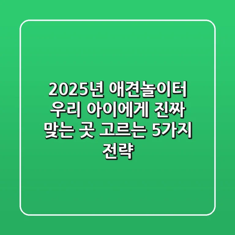 2025년 애견놀이터, 우리 아이에게 ‘진짜’ 맞는 곳 고르는 5가지 전략