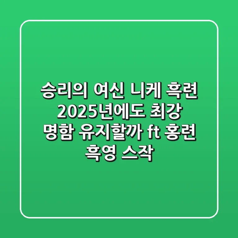 승리의 여신 니케 흑련, 2025년에도 '최강' 명함 유지할까? (ft. 홍련 흑영 스작)