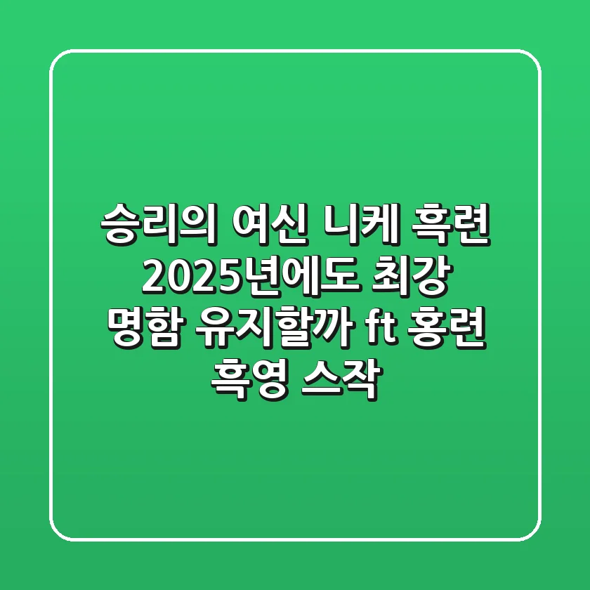 승리의 여신 니케 흑련, 2025년에도 '최강' 명함 유지할까? (ft. 홍련 흑영 스작)