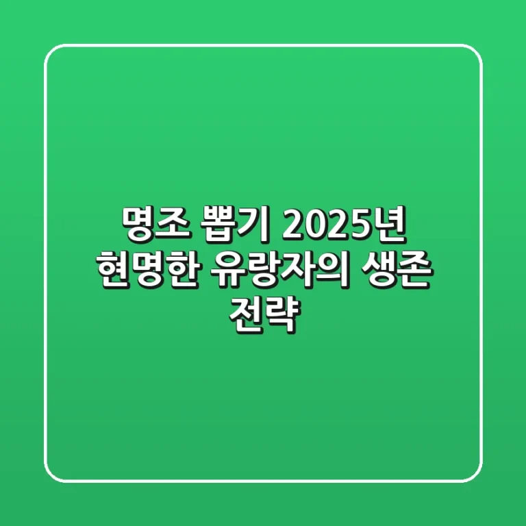 명조 뽑기, 2025년 현명한 유랑자의 생존 전략