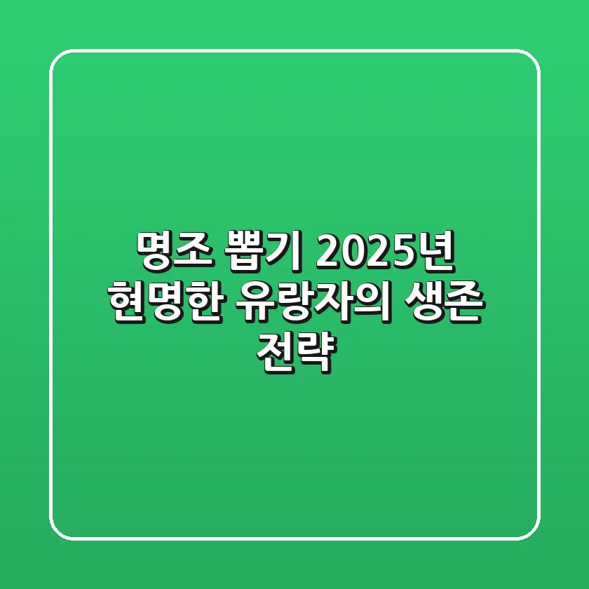 명조 뽑기, 2025년 현명한 유랑자의 생존 전략