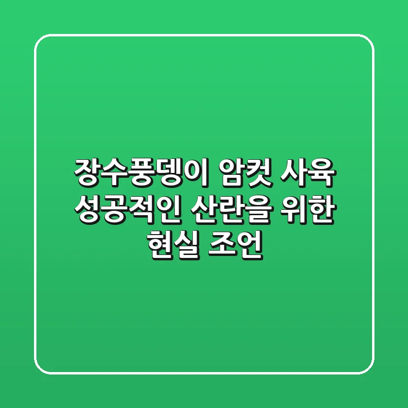 장수풍뎅이 암컷 사육, 성공적인 산란을 위한 현실 조언