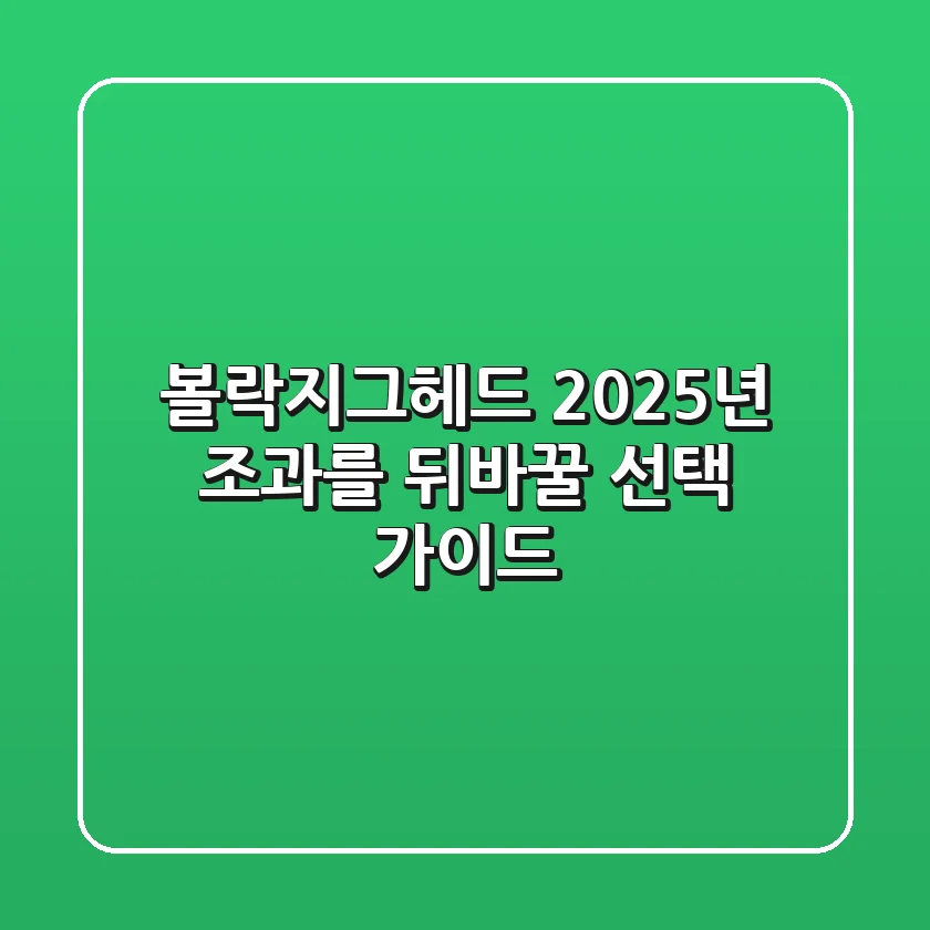 볼락지그헤드, 2025년 조과를 뒤바꿀 선택 가이드