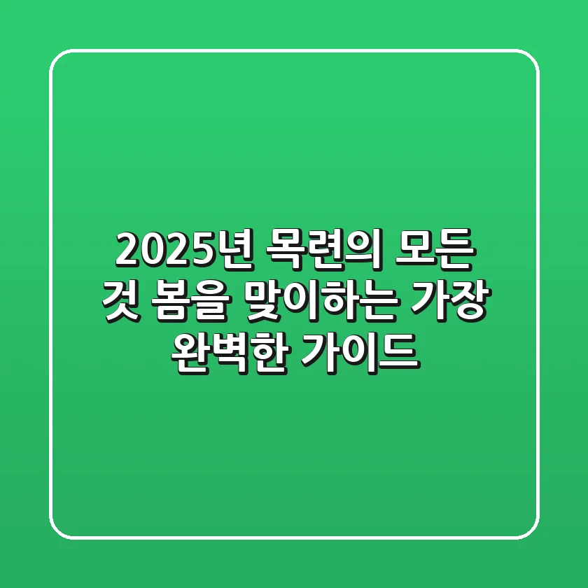 2025년 목련의 모든 것: 봄을 맞이하는 가장 완벽한 가이드