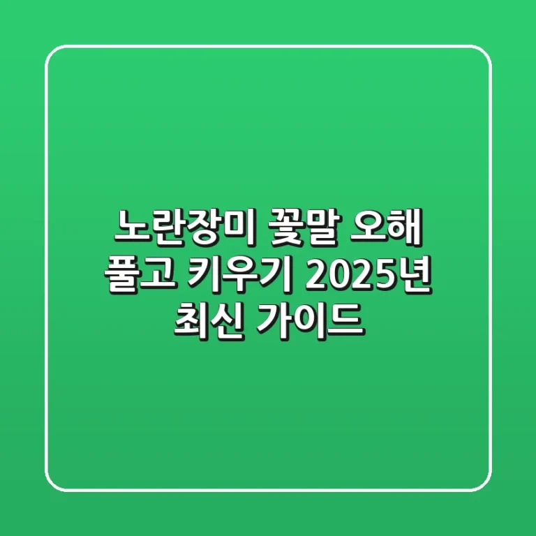 노란장미 꽃말 오해 풀고 키우기, 2025년 최신 가이드
