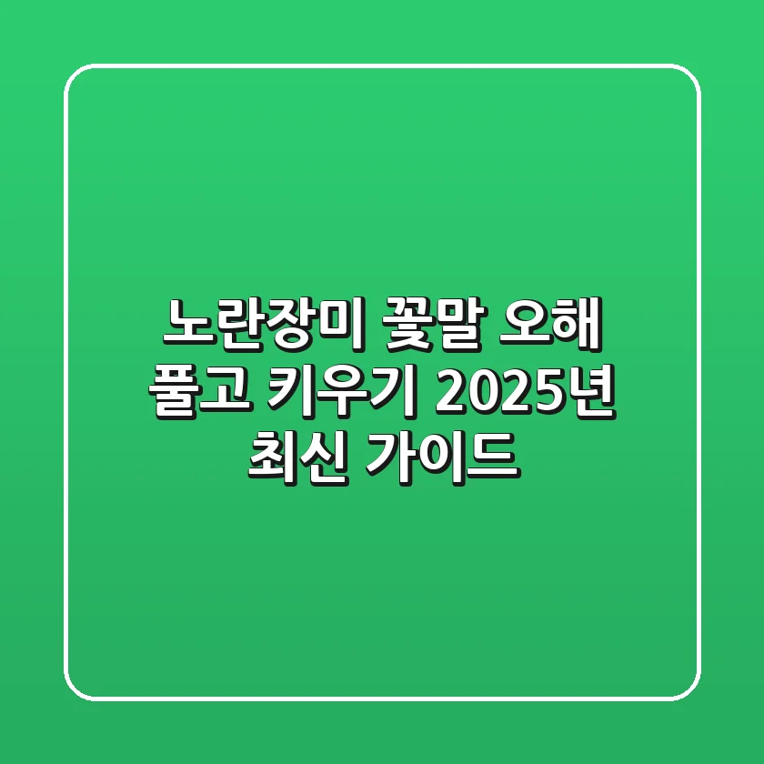 노란장미 꽃말 오해 풀고 키우기, 2025년 최신 가이드