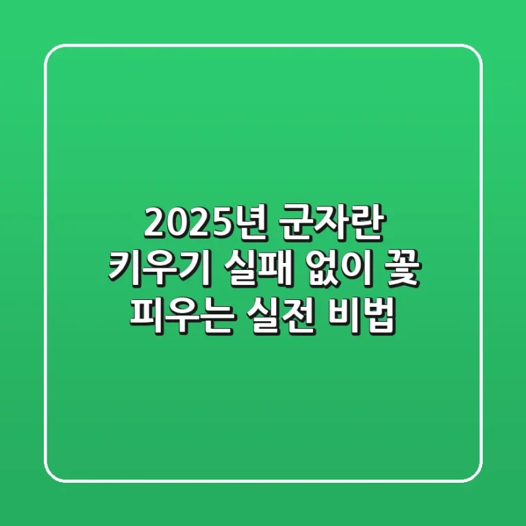2025년 군자란 키우기 실패 없이 꽃 피우는 실전 비법!
