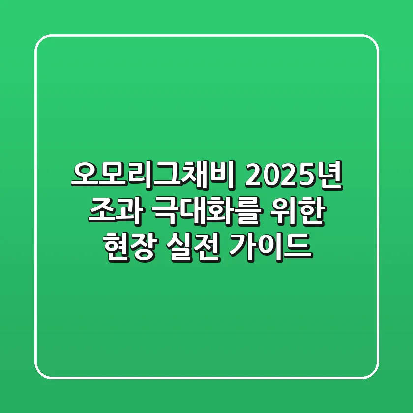 오모리그채비: 2025년 조과 극대화를 위한 현장 실전 가이드