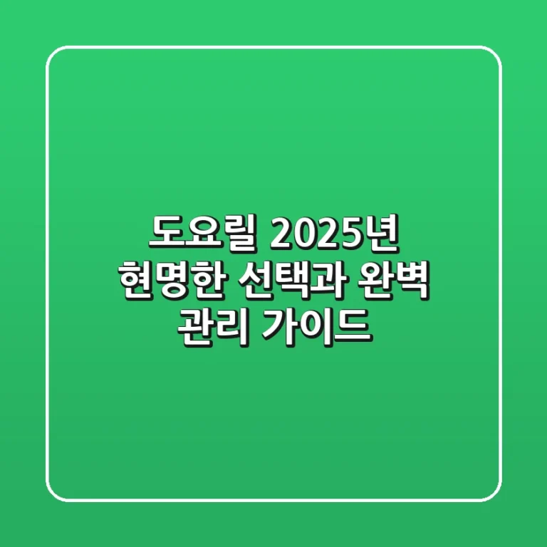 도요릴, 2025년 현명한 선택과 완벽 관리 가이드
