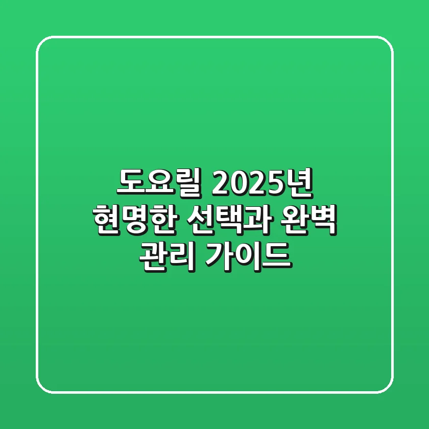 도요릴, 2025년 현명한 선택과 완벽 관리 가이드