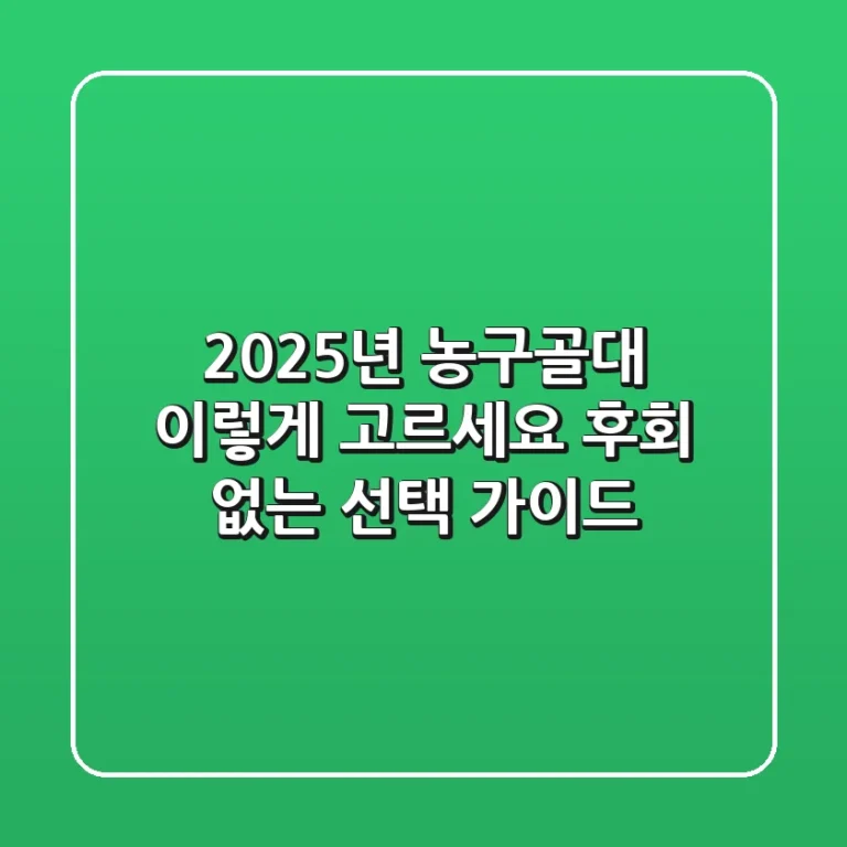 2025년 농구골대, 이렇게 고르세요! 후회 없는 선택 가이드