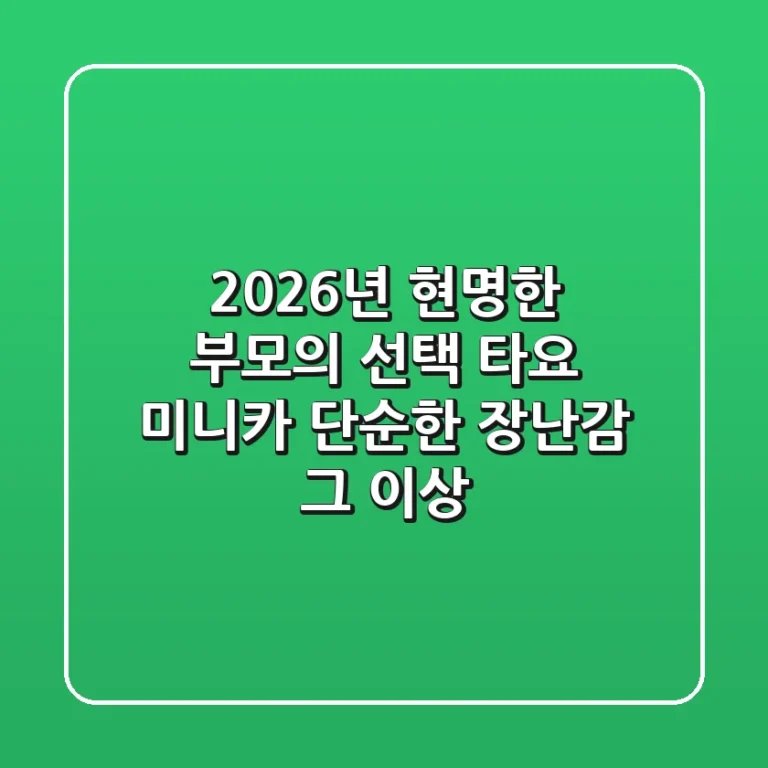 2026년 현명한 부모의 선택! 타요 미니카, 단순한 장난감 그 이상