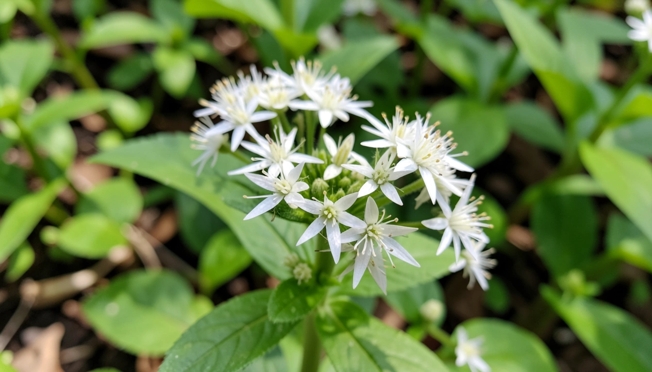 4. 우리 호야, 왜 아플까요? – 문제 해결과 고급 관리 전략